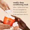 amika soulfood nourishing mask(16 Ounce (Pack of 1))