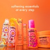 Amika superfruit strands full size bundle | full size normcore shampoo + conditioner & superfruit star lightweight hair styling + heat defense oil