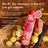 Amika perk up talc-free dry shampoo(Guava)